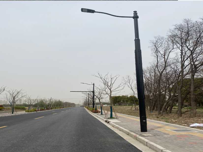 类乌齐县上海综合杆 太阳能路灯工程